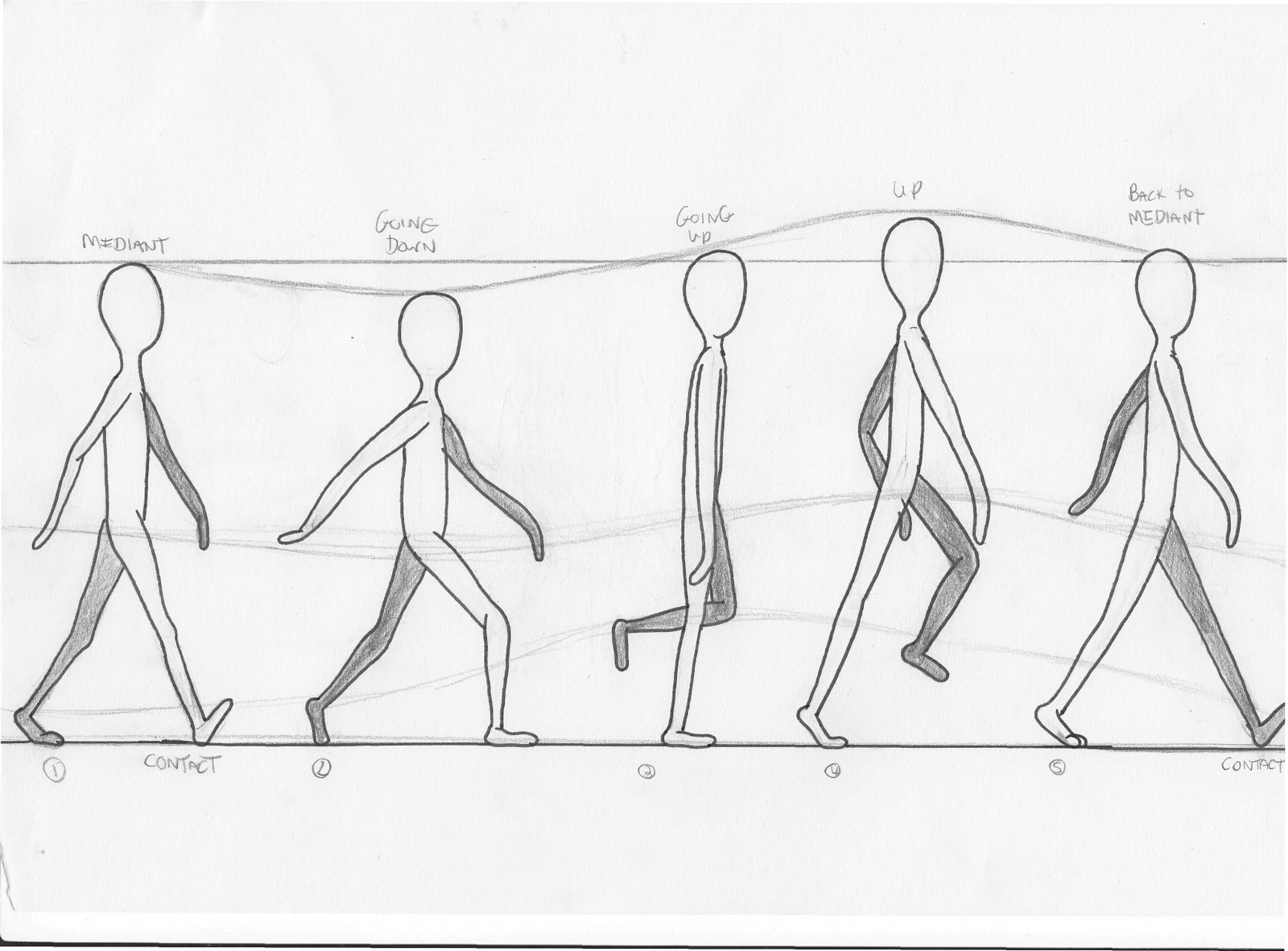 Walking Cycle